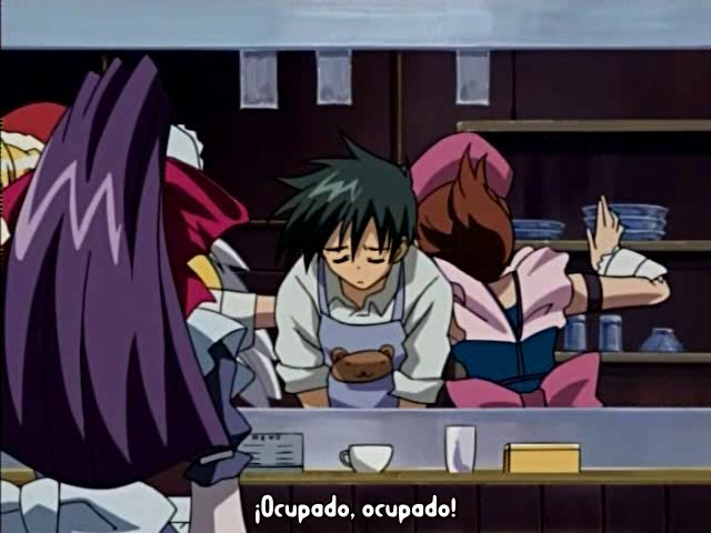 Guardian Hearts (Tai-Rei Fansubs)